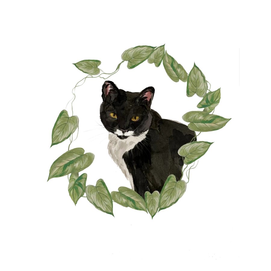 Lua